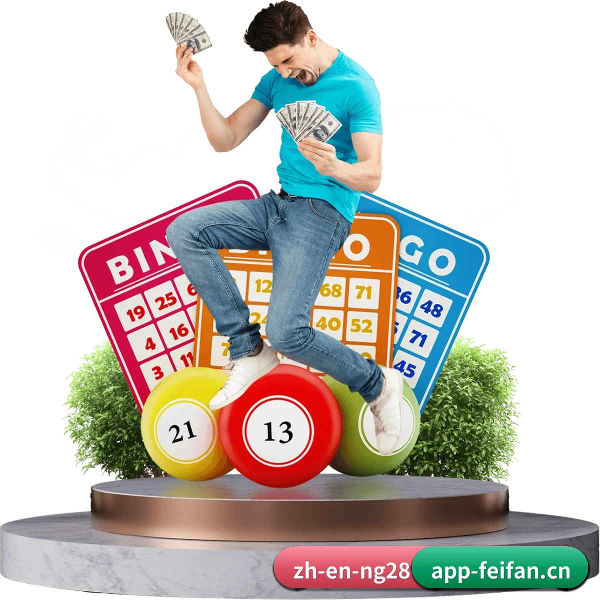 平台正式上线(FEIFAN)